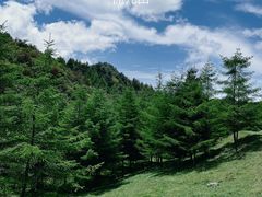 -襄阳烈士陵园(襄城区)