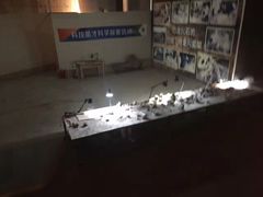 -世界恐龙谷景区