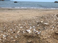 -那琴半岛地质海洋公园