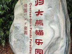 -中国大熊猫保护研究中心雅安碧峰峡基地