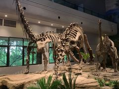 -自贡恐龙博物馆