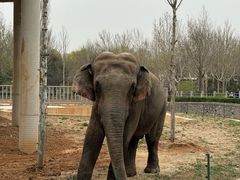 -石家庄市动物园