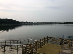 -丁香湖公园