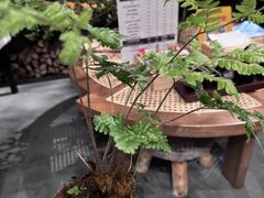 -森SPA·泰式按摩·精油Massage(宝安中心店)