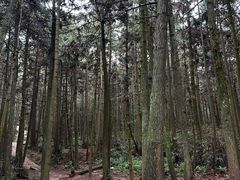-大罗山风景区
