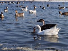 -长白岛森林公园