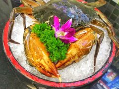新鲜活蟹-港迹·鲜围煮海鲜火锅(湖州时代广场店)