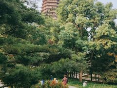 -玲珑塔公园