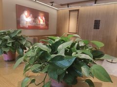 -阿源鱼捞斑鱼火锅·海鲜粥(山景尚宅店)