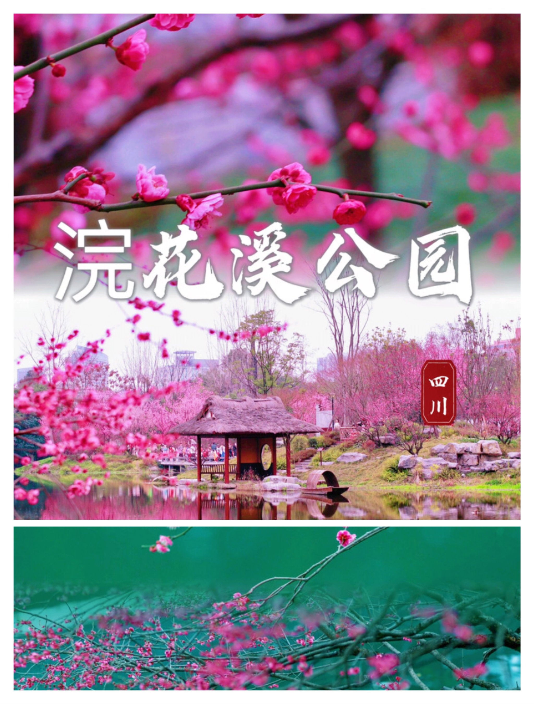 浣花溪公园景点介绍图片