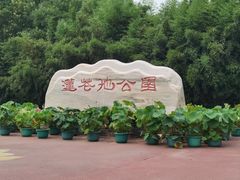-莲花池公园