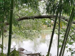 -金稼园·金平湖农家菜