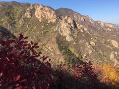 -北京鹫峰国家森林公园