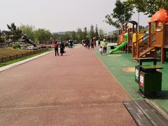 -羊亭河湿地公园