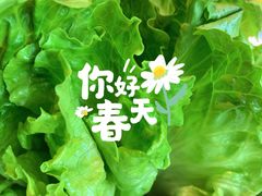 鲜蔬拼盘-东椰·海南椰子鸡火锅(朝阳门店)
