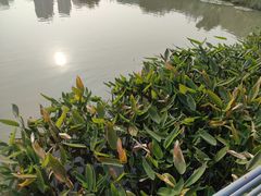 -牛岗山公园