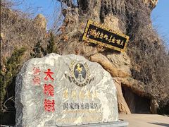 -大槐树寻根祭祖园