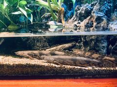 -太平洋海底世界