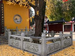 -上海青龙寺