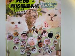 -共舞时光猫咖·狗咖(新街口店)