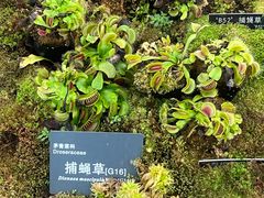 -国家植物园南园