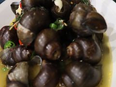 酸辣螺蛳肉-椿记烧鹅(叠彩店)