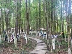 -桤木河湿地公园