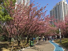 -苏州河梦清园环保主题公园