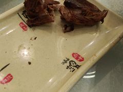 -邵年鸽(杨庄店)
