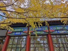 -四川大学(华西校区)