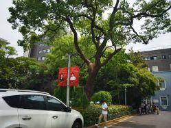 -上海市儿童医院(北京西路院区)