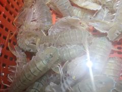 -79号渔船海鲜饭店(宝安店)