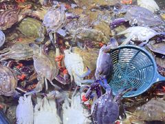 -聚盛源蒸汽海鲜火锅烤肉自助(巨川金海岸购物广场店)