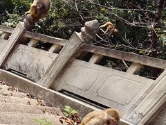 -苏州上方山国家森林公园