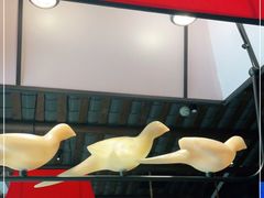 -大鸽饭(岗顶店)