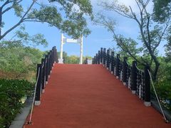 -长广溪湿地公园