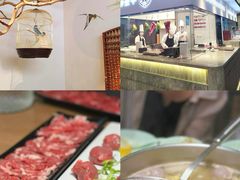-掂档潮汕牛肉火锅(沈阳万象城店)