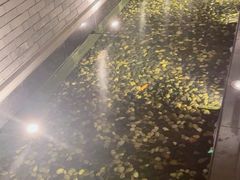 -晶采轩(虹桥路店)