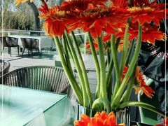 -思念果岭湖畔花房餐厅