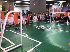 -中国宋庆龄青少年科技文化交流中心