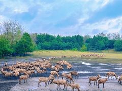 -溱湖国家湿地公园