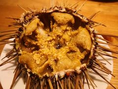 -海胆小馆(东北水饺·春柳店)