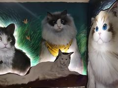 -猫腻·猫咖·撸猫馆(星光大道店)
