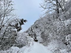 -秦岭风景区