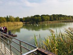 -昆山城市生态森林公园