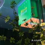 🥑牛油果三文鱼超级碗