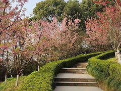 -南山植物园