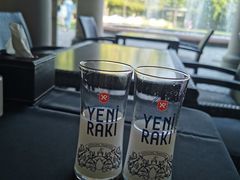 -Efes Turkish & Mediterranean Cuisine 艾菲斯餐厅(陆家嘴店)