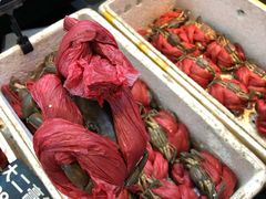 -莲花公园煎蟹(总店)