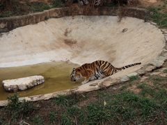 -云南野生动物园